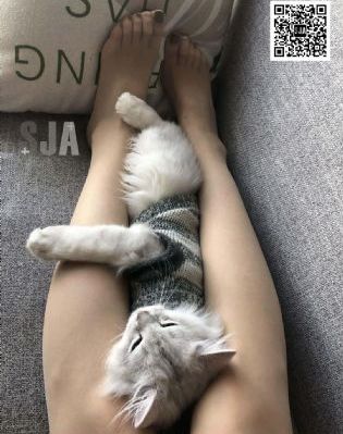 国产精品兄妹在线观看麻豆_蓝光电影在线观看