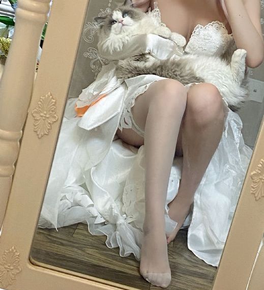 免费无码又黄又爽又刺激网站_剧情片完整版观看